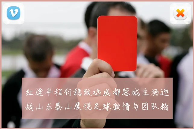 红途半程行稳致远成都蓉城主场迎战山东泰山展现足球激情与团队精神
